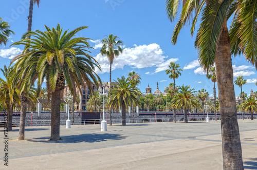 A plaza in Barcelona with bright green trees in the Spanish City in the summertime. Blue sky and empty sidewalk city lifestyle in Spain. © Ryan Garrett