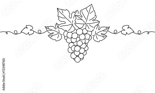 Bunches of grapes. Vine. Vector line drawing on white or transparent background. Grapevine. Seamless border