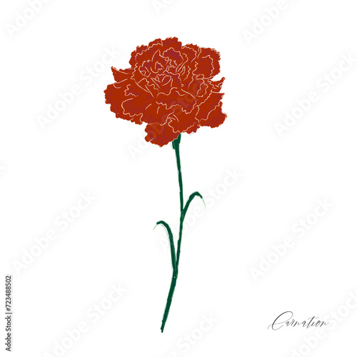 carntion-red/カーネーション