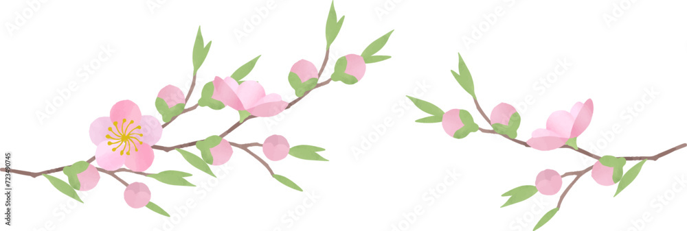 桃の花のイラスト2