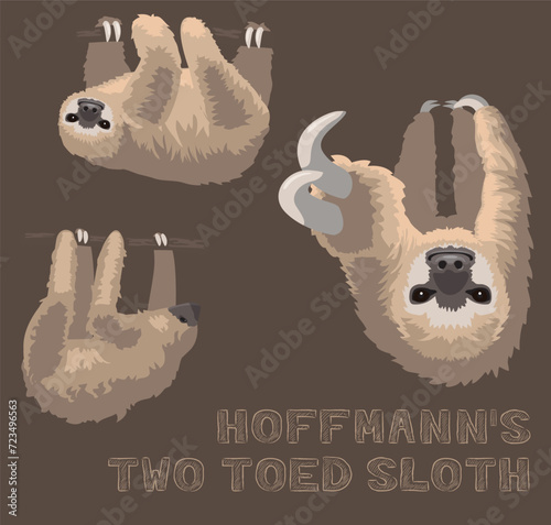 Sloth Hoffmann's Two-Toed Sloth Cartoon Vector Illustration