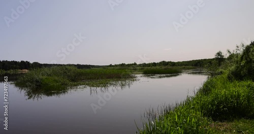 river,   water with waves in the river withtrees  on the river bank photo