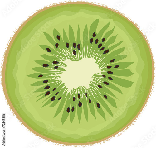 キウイ（kiwi）