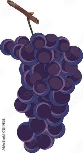 ぶどう（Grape）