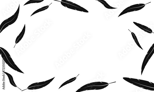 Silhouette frame feather falling border background illustration vector