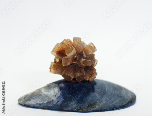 Natural Rough Orange Aragonite Metaphysical Healing Crystal Gemstone Mineral Starburst Cluster Formation Sitting on top of Blue Mussel Shell on White Background Orange and Blue Contrast Color