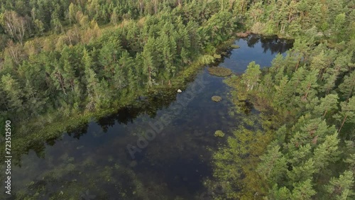 Aerial view of mystical karst funnels in Kaarmise - Jõempa conservation area in autumn with high water levels. Saaremaa, Estonia. photo