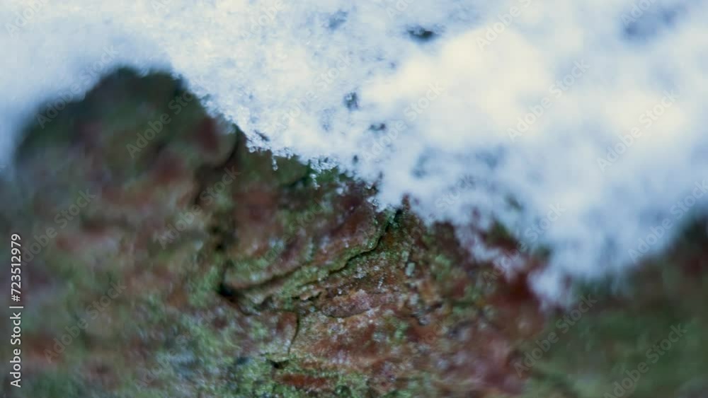 Tree trunk covered with snow, macro perspective. Tree trunk covered with snow, macro perspective.