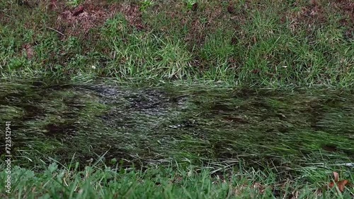 Rainwater running in slow motion in a drainage system ditch filled with green grass after a heavy rain, as a nature background
