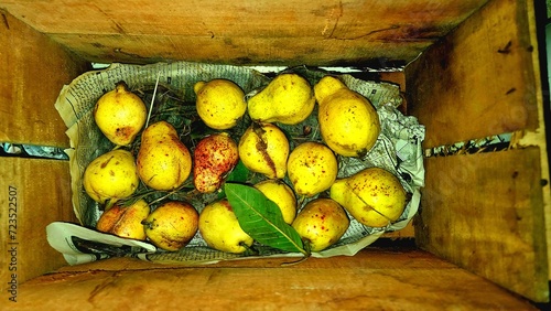 Pakistani Guava, Rare Guava came from larkana photo