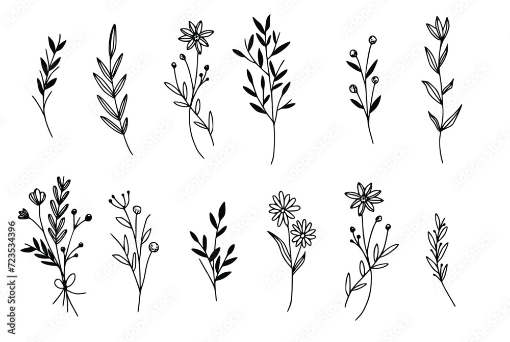vector botanical collection of floral and herbal elements. isolated vector plants, branches and flowers in ink sketch design. hand drawn botanical doodle set for cards, invitations, logo, diy projects