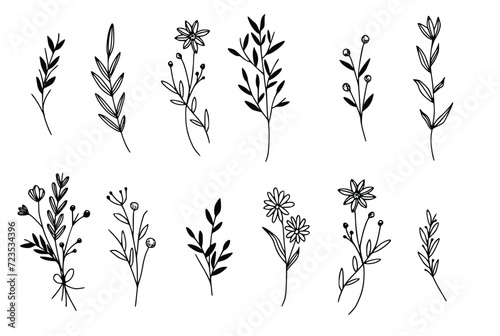Leinwand Poster vector botanical collection of floral and herbal elements