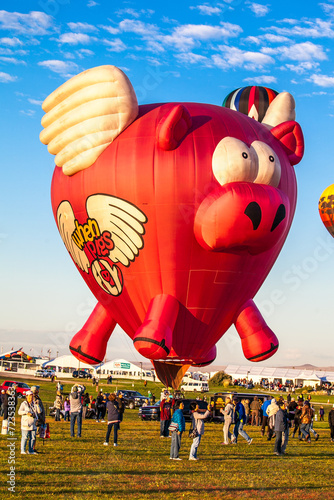 Balloons in the air