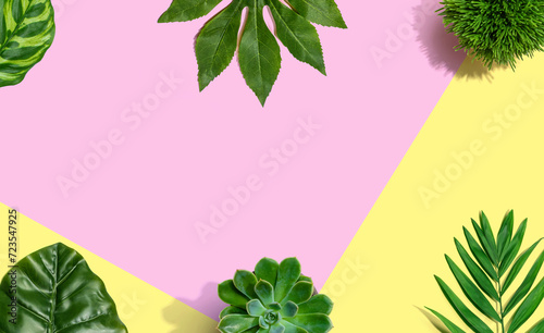 Tropical green leaves from above - overhead view