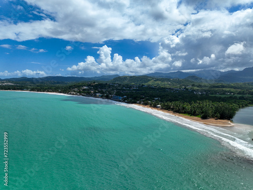 beach and trees