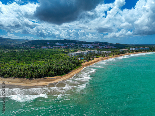 beach with trees