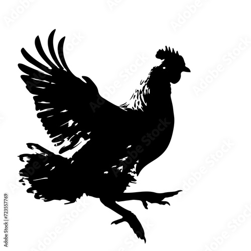 Chicken in motion photo