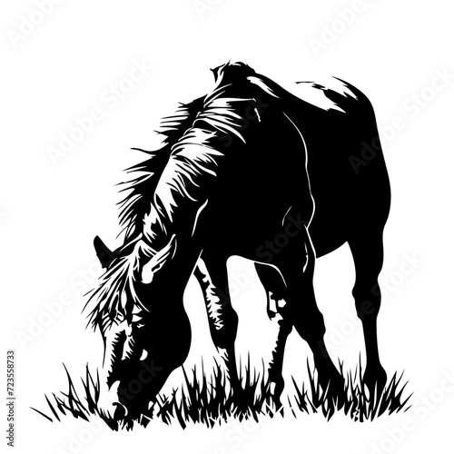 Horse eating grass field