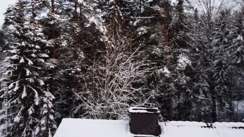 View of the winter trees in a small neighborhood in Finland. Much snow on the branches of the trees. A cold winter day in Riihimaki. View of the sky in the background. photo