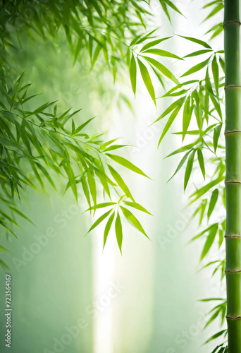 bamboo background with bamboo