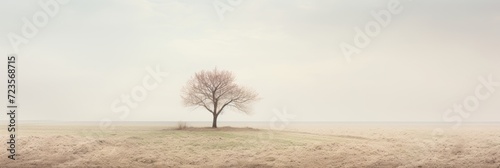 A solitary tree stands proudly in the middle of a vast, wide-open field, with the distant horizon and expansive sky completing the tranquil and spacious landscape.