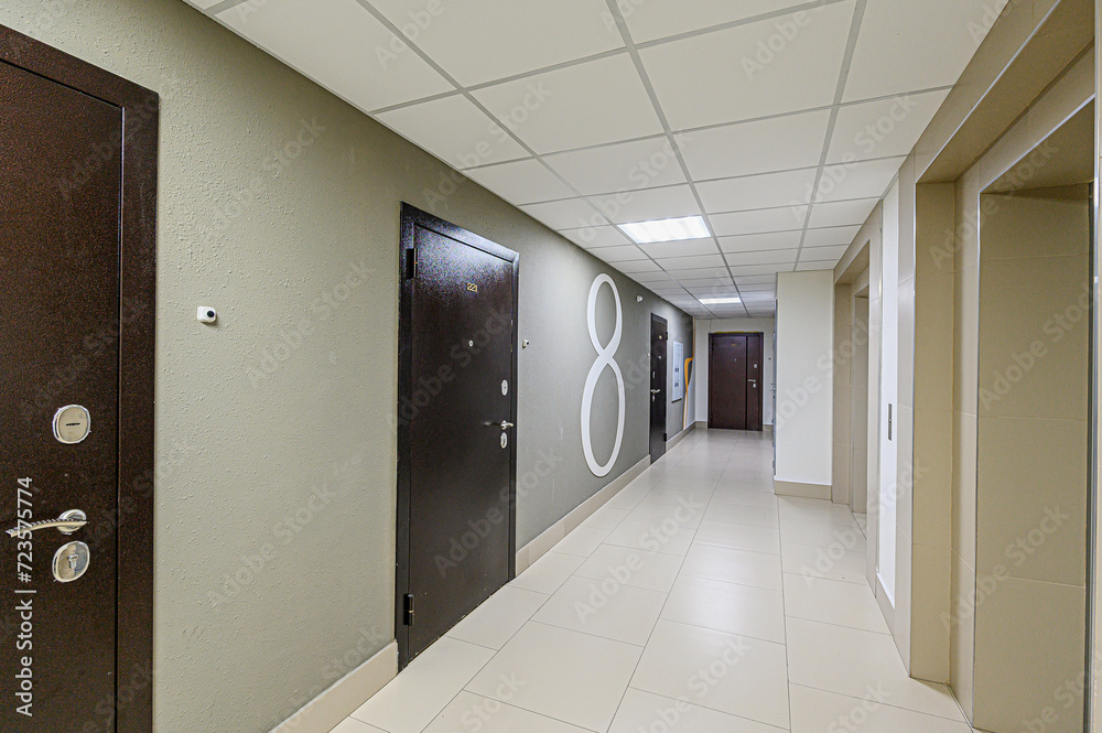 Obraz premium interior public place, house entrance. doors, walls, corridors staircase