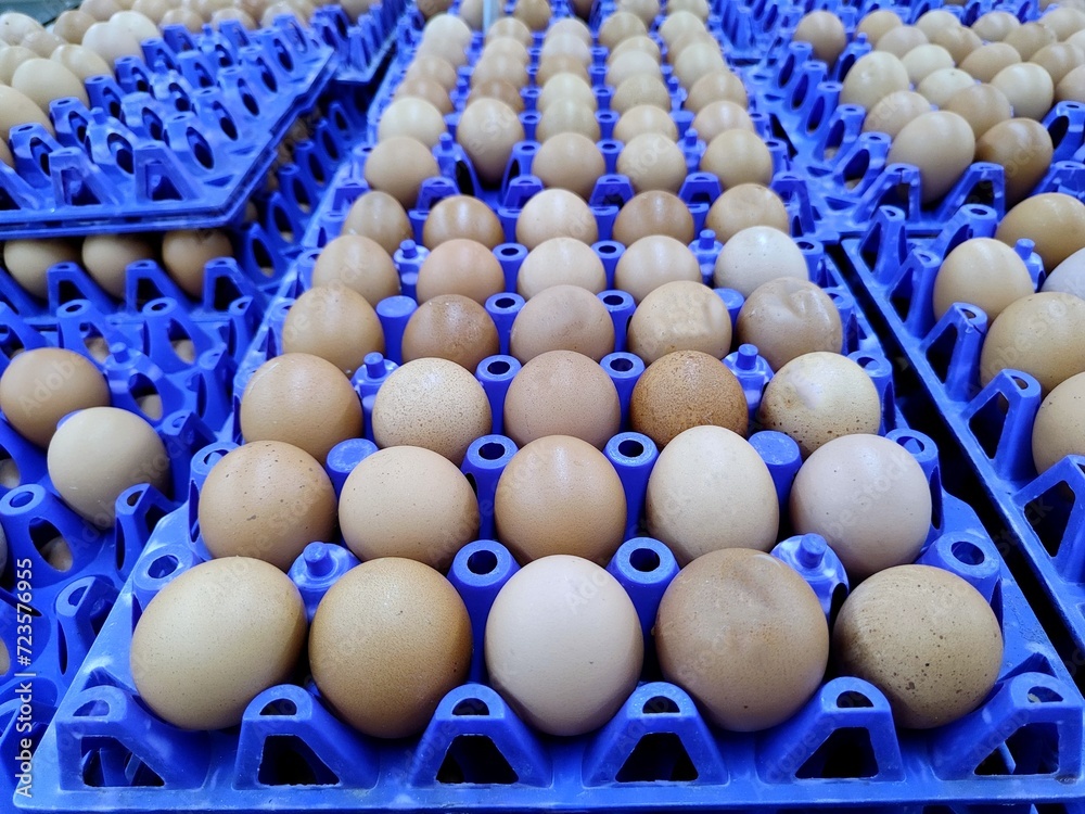 Group of eggs in blue basket
