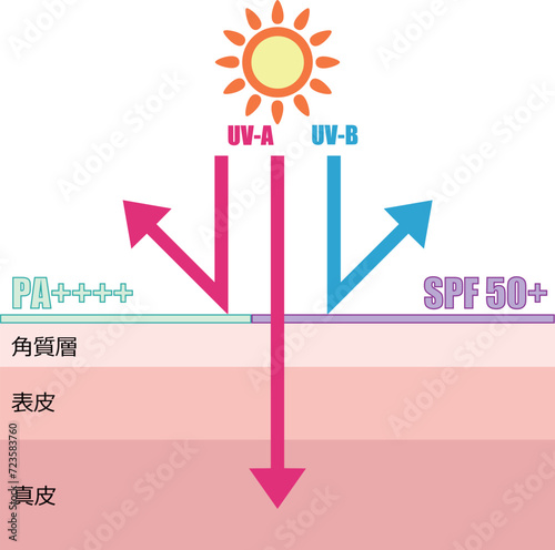 日焼け止めが紫外線から肌を守るイメージイラスト