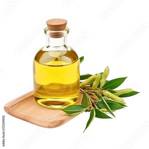 fresh raw organic quassia oil in glass bowl png isolated on white background with clipping path. natural organic dripping serum herbal medicine rich of vitamins concept. selective focus