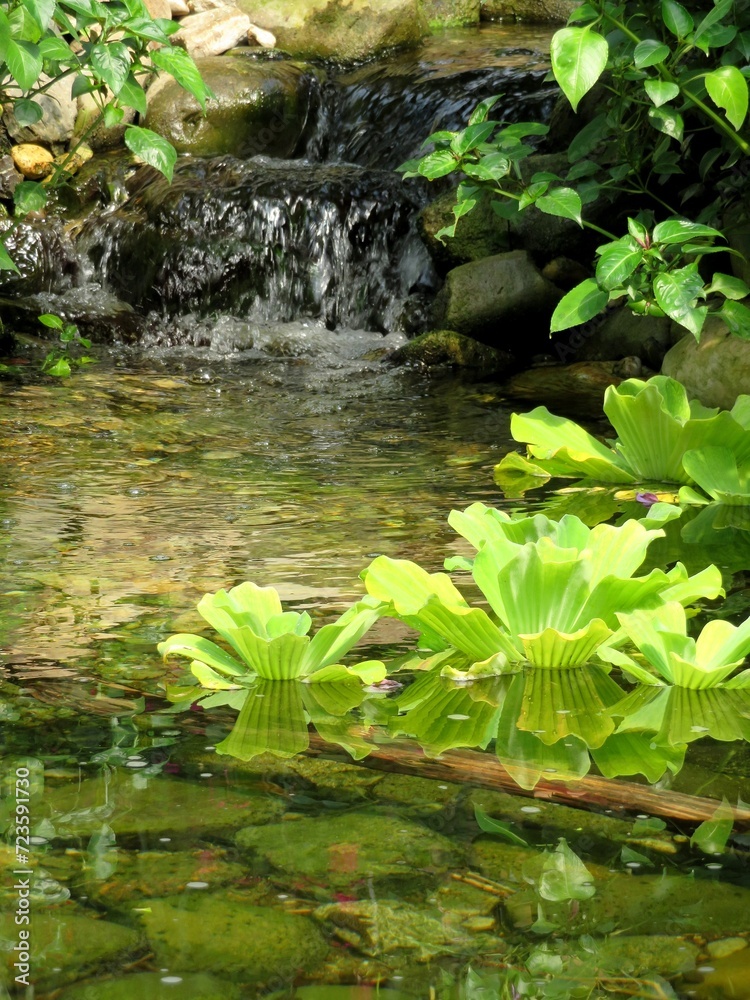Ruisseau Ruisseau