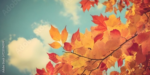 autumn leaves on the groundb maple tree leaves fall autumn season  ai Colorful acer maple leaves as a background  