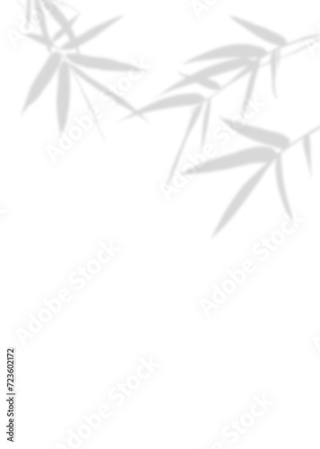 Blurry Grey Bamboo Branches leaf. A simple and elegant black and white illustration of bamboo leave, evoking tranquility and minimalism.