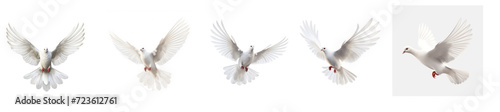 Set of flying dove on transparency background PNG
