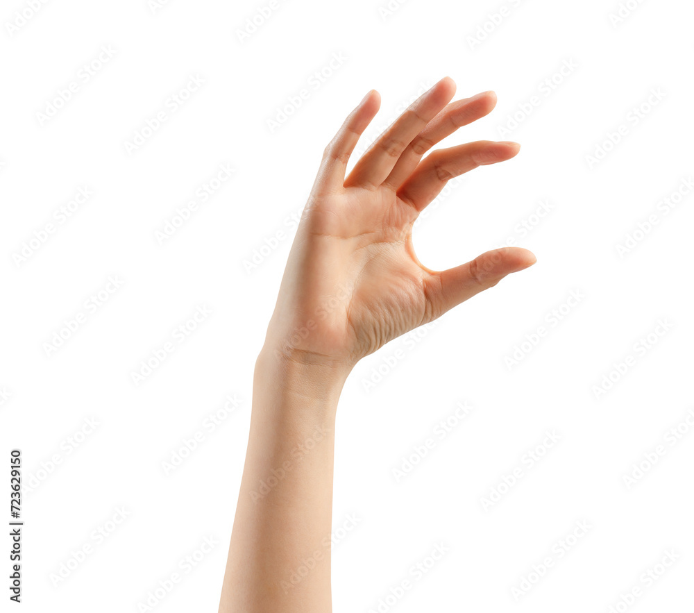 Hand holding or pointing to something on white backgrounds, clipping path. Hand holding or pointing to something on white backgrounds, clipping path.
