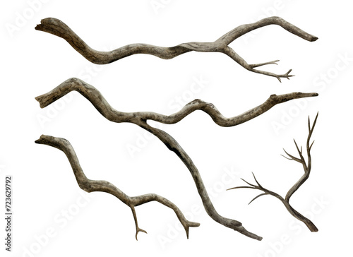 Dry bare tree branches watercolor illustration set isolated on white background. Hand drawn realistic fall and winter nature clipart