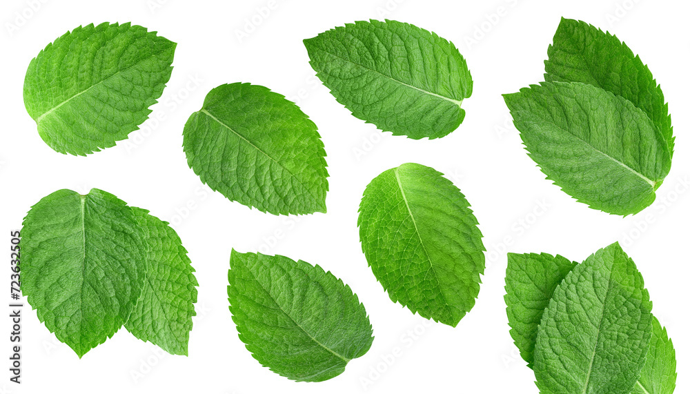 Mint leaf isolated clipping path Mint leaf isolated clipping path
