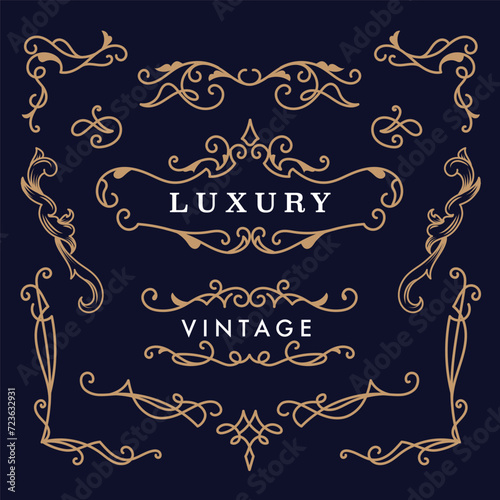 Vintage ornaments frame vector illustration