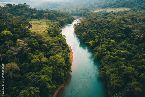 Aerial view of the river in rainforest