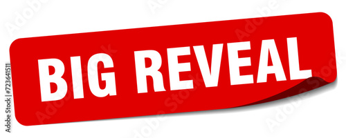 big reveal sticker. big reveal label