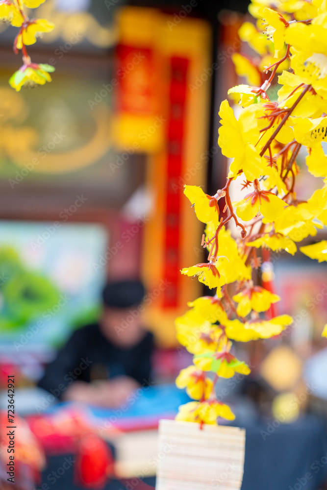 Ochna integerrima (Hoa Mai) tree with lucky money. Traditional culture on Tet Holiday in Vietnam. Vietnamese scholar writes calligraphy at lunar new year in blurred background.