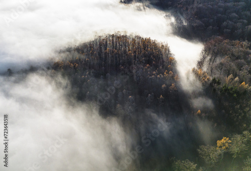 Mist and fog over mountain forest