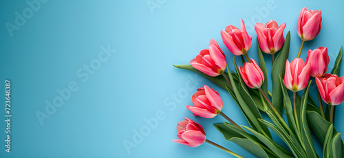 Lying tulip flowers of white tulips on a yellow background, free space on the left, horizontal. Valentine's day or spring concept. #723648387
