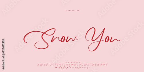 signature Font Calligraphy Logotype Script Brush Font Type Font lettering handwritten
