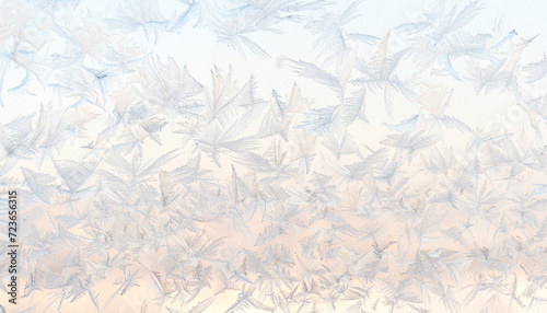 Frosty Dawn Canvas