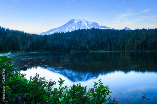 Reflection Lake with purple wildflowers in the foreground. Mount Rainier National Park. Washington State.