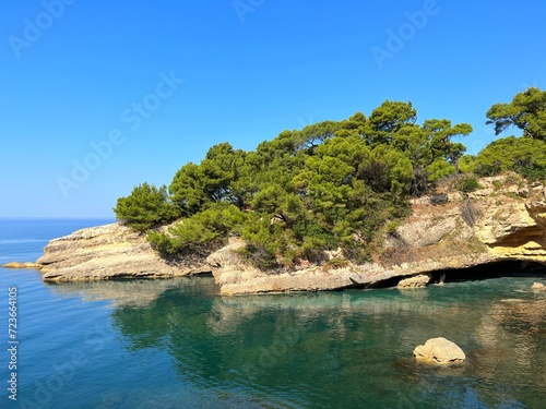 Turquoise blue sea and rocky coast with pine trees in Montenegro.