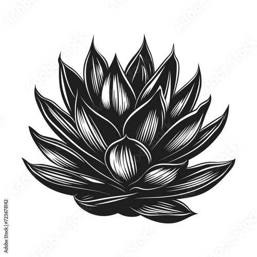  Silhouette of agave, vector illustration.