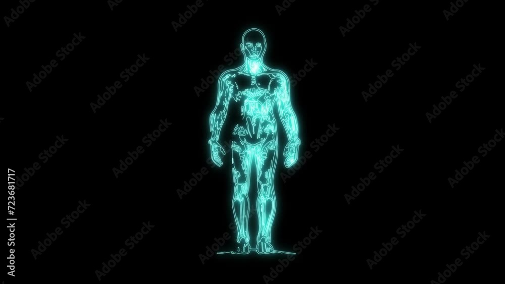 Human Body Neon Effects Animation On Black Background. Abstract Animation Of Glowing Neon Human Body Human Body Neon Effects Animation On Black Background. Abstract Animation Of Glowing Neon Human Body