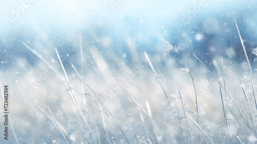 beautiful winter background  blurred snowfall in the field  dry blades of grass covered with snow and frost  nature