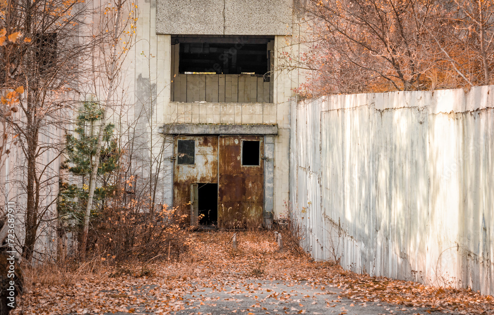 Fototapeta premium basement of an abandoned building in Chernobyl